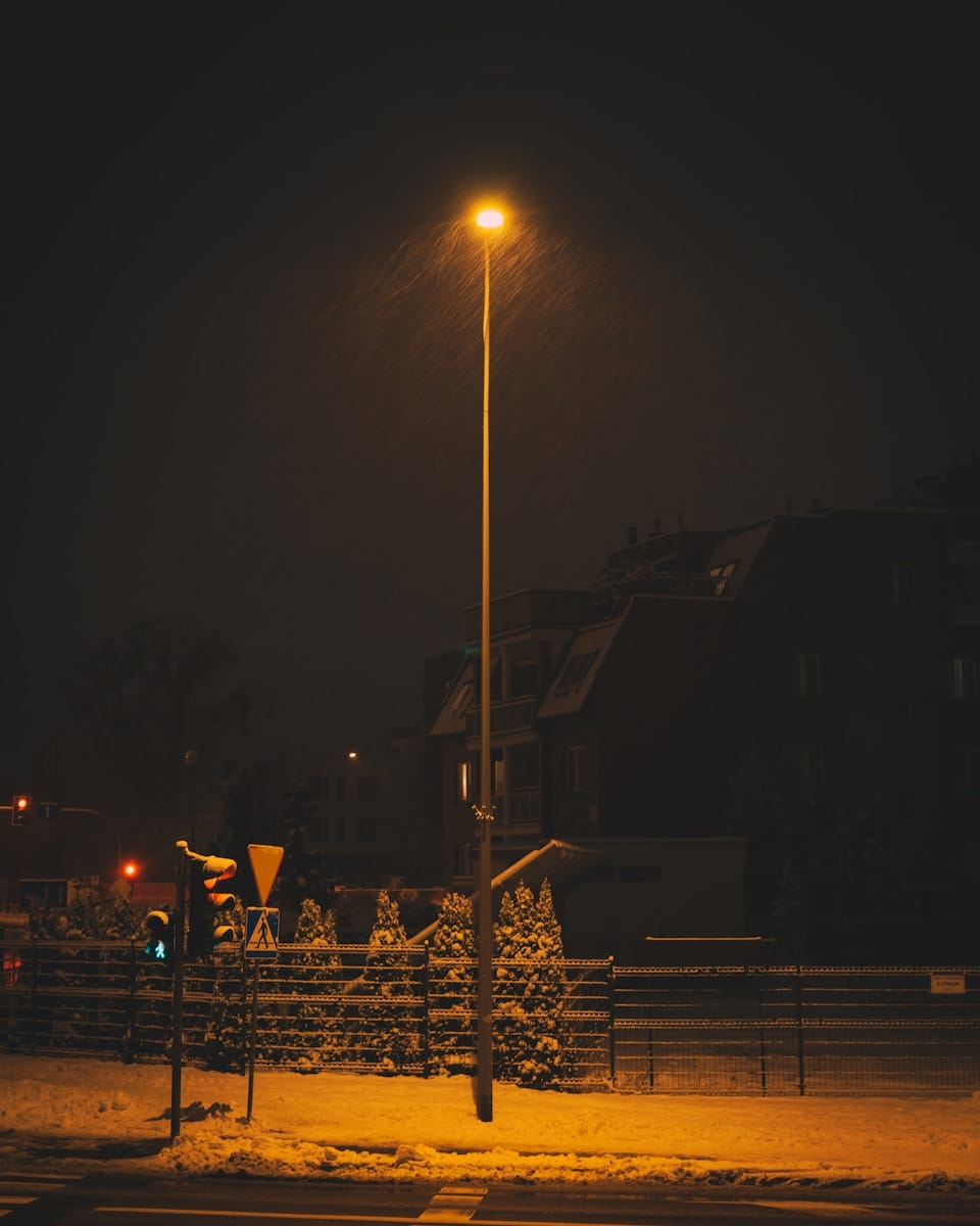 Obrazek do pytania: W zimie spada śnieg i jest zimno.