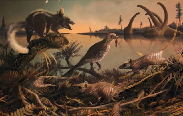 Błyskawiczny quiz- ewolucja i jej dowody 42