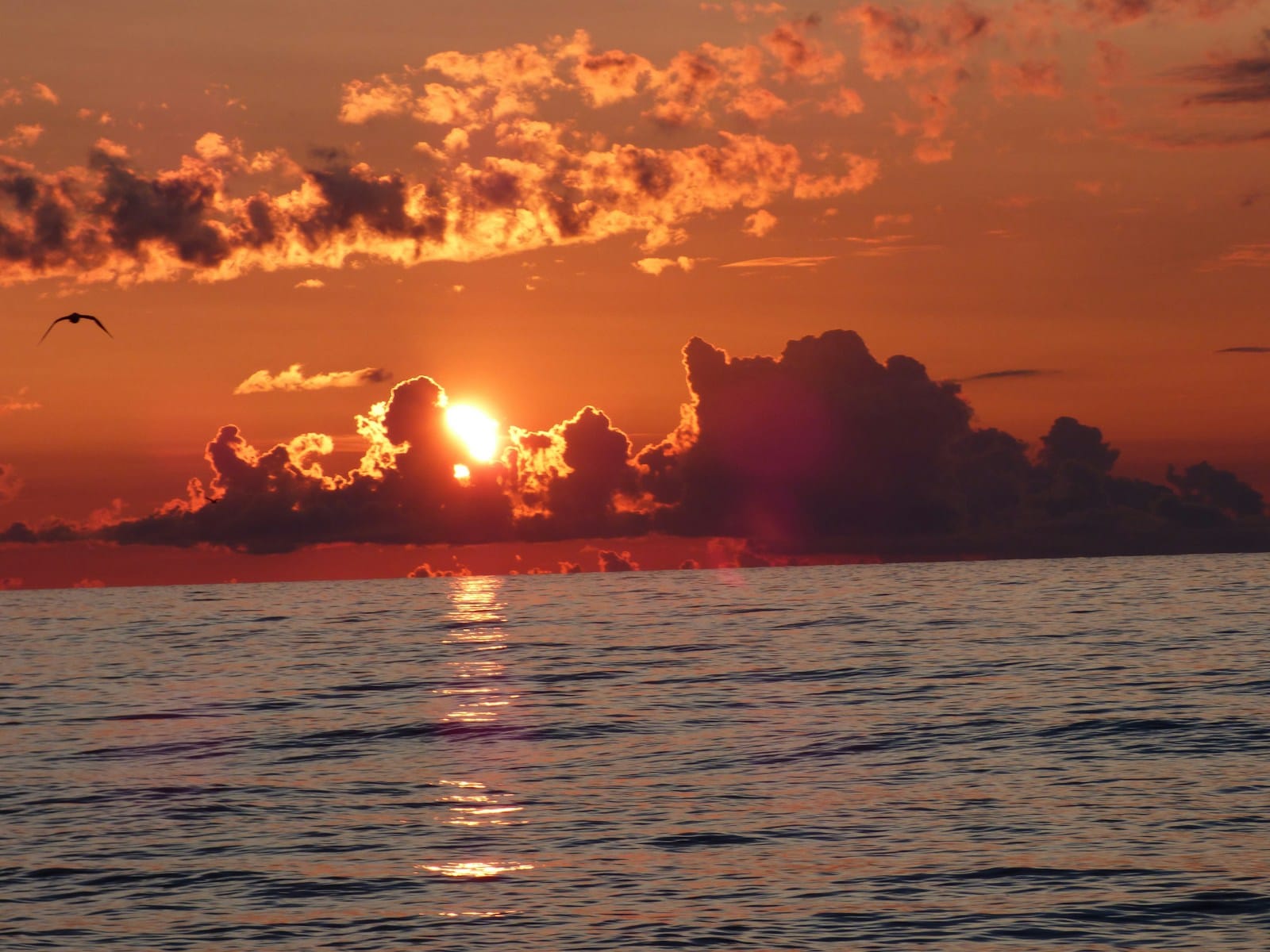 Wie ist das Wetter? 52