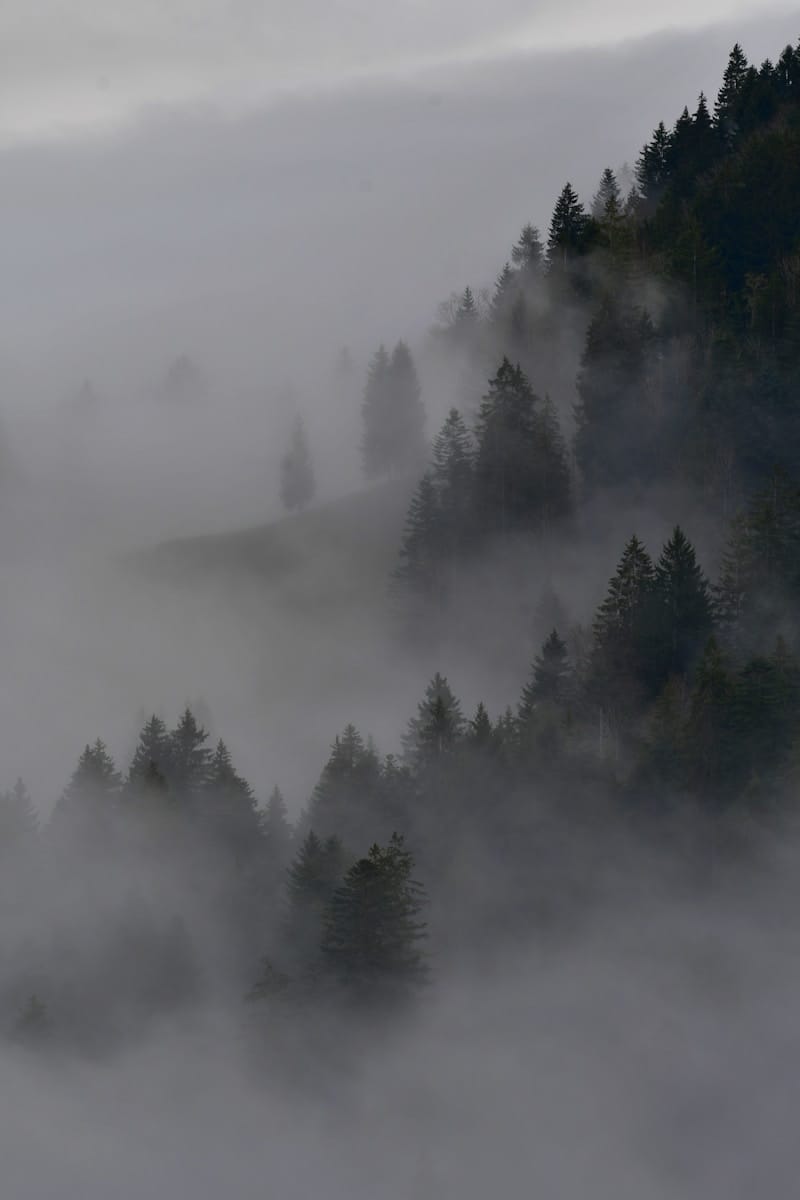 Wie ist das Wetter? 47