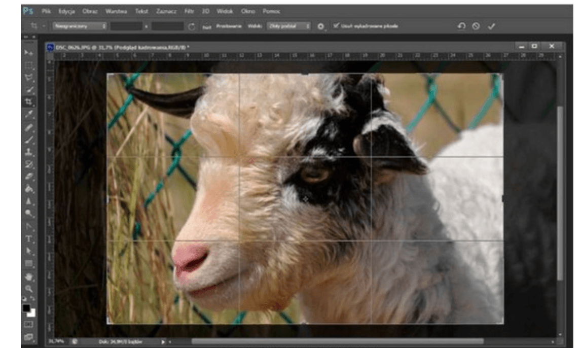 Powtórzenie wiedzy 43