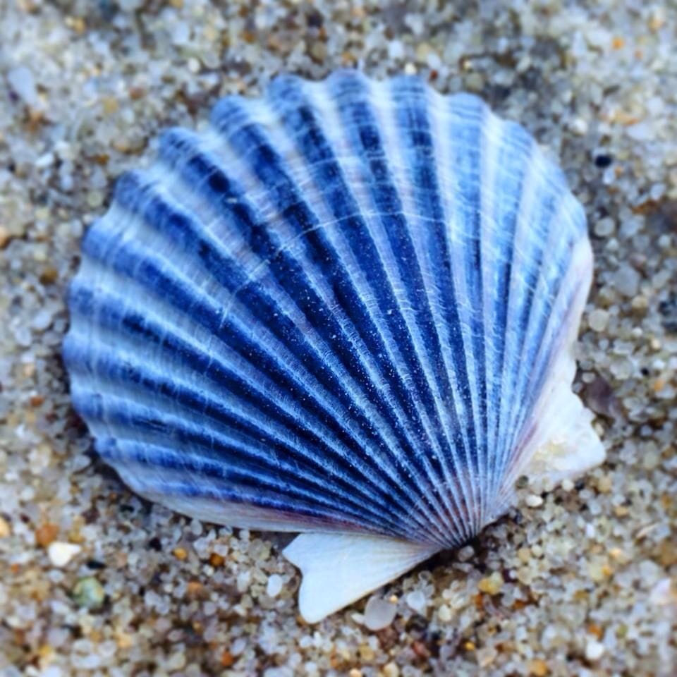 Beach 44