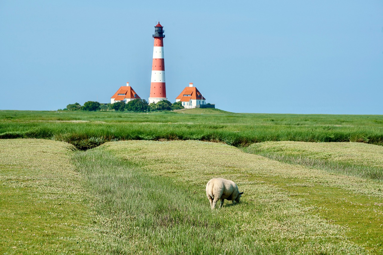 Podgląd obrazka
