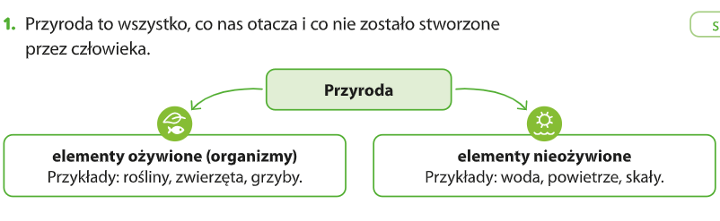 Puzzle: Spotkanie z przyrodą-elementy ożywione i nieożywione przyrody.