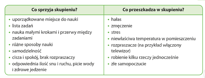 Puzzle: Spotkanie z przyrodą-Co sprzyja a co przeszkadza w skupieniu?