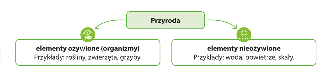 Puzzle: Puzzle 98