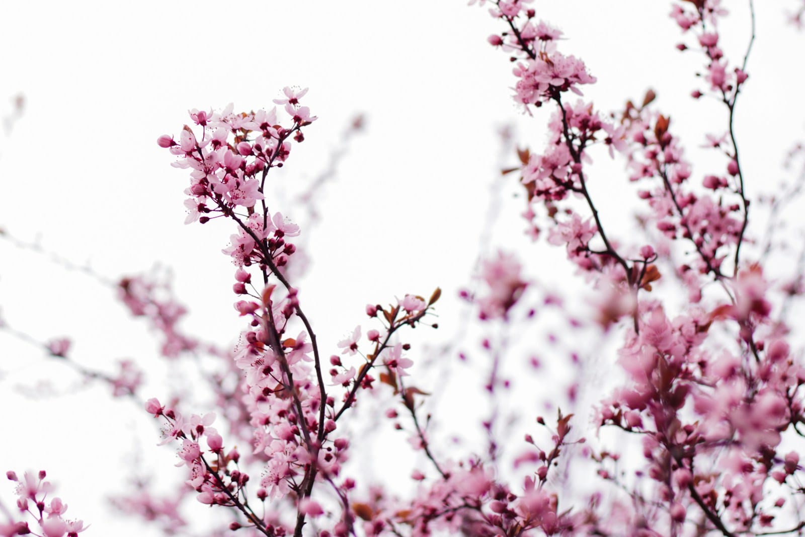 Quiz pory roku 1 Quiz pory roku 1