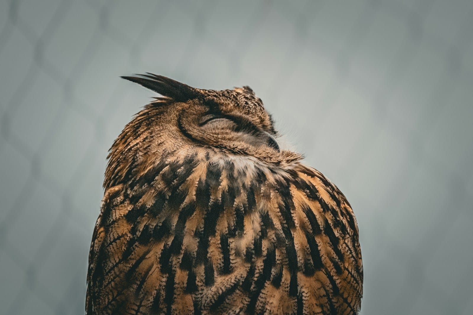 Wiedza o Polsce 8 Wiedza o Polsce 8