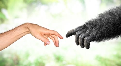 Błyskawiczny quiz- ewolucja i jej dowody 4 Błyskawiczny quiz- ewolucja i jej dowody 4