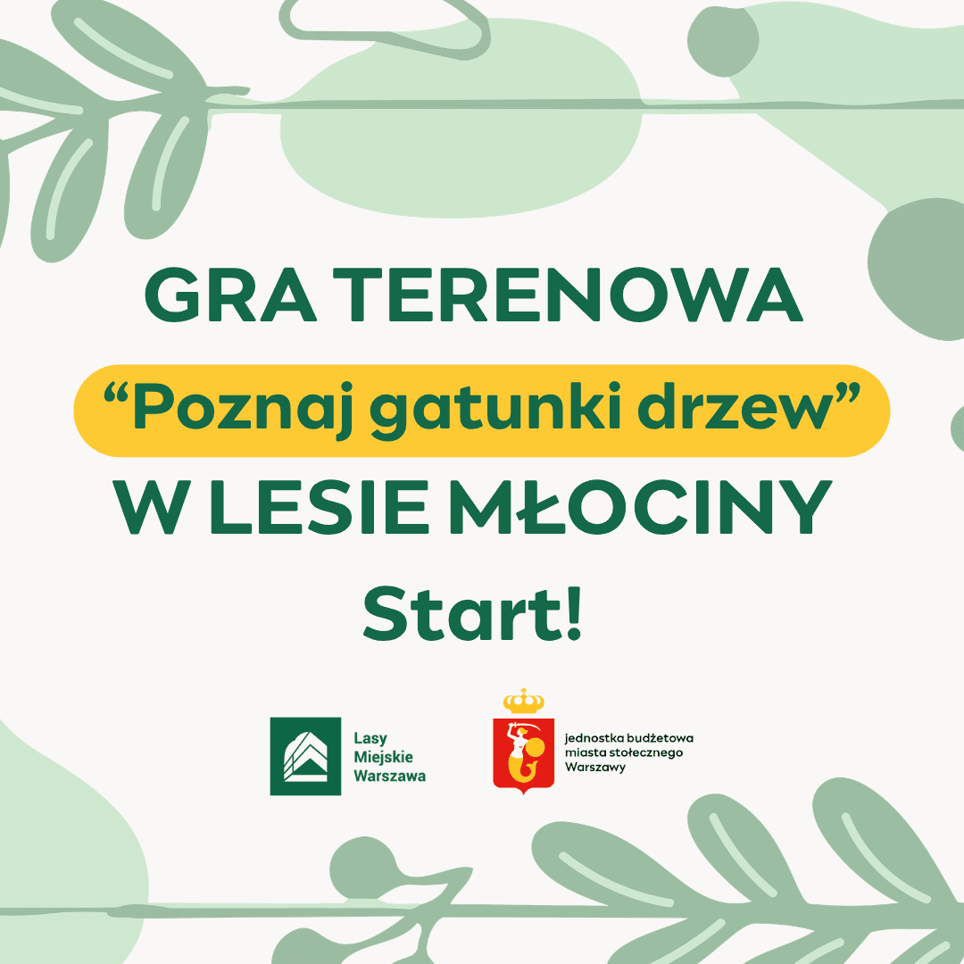 Interaktywne Krzyżówki 10 Poznaj gatunki drzew