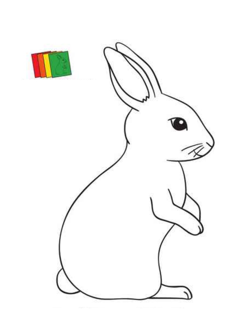 historyjka obrazkowa: Biały królik 1