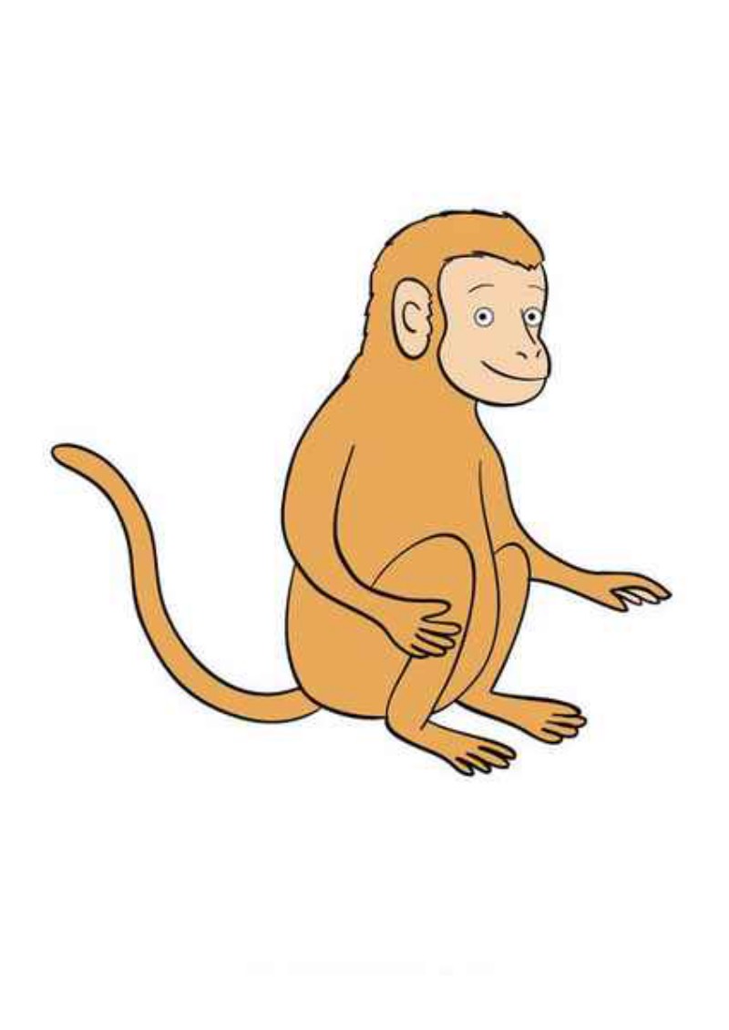 ułóż historyjkę z obrazków: Małpie psoty 6