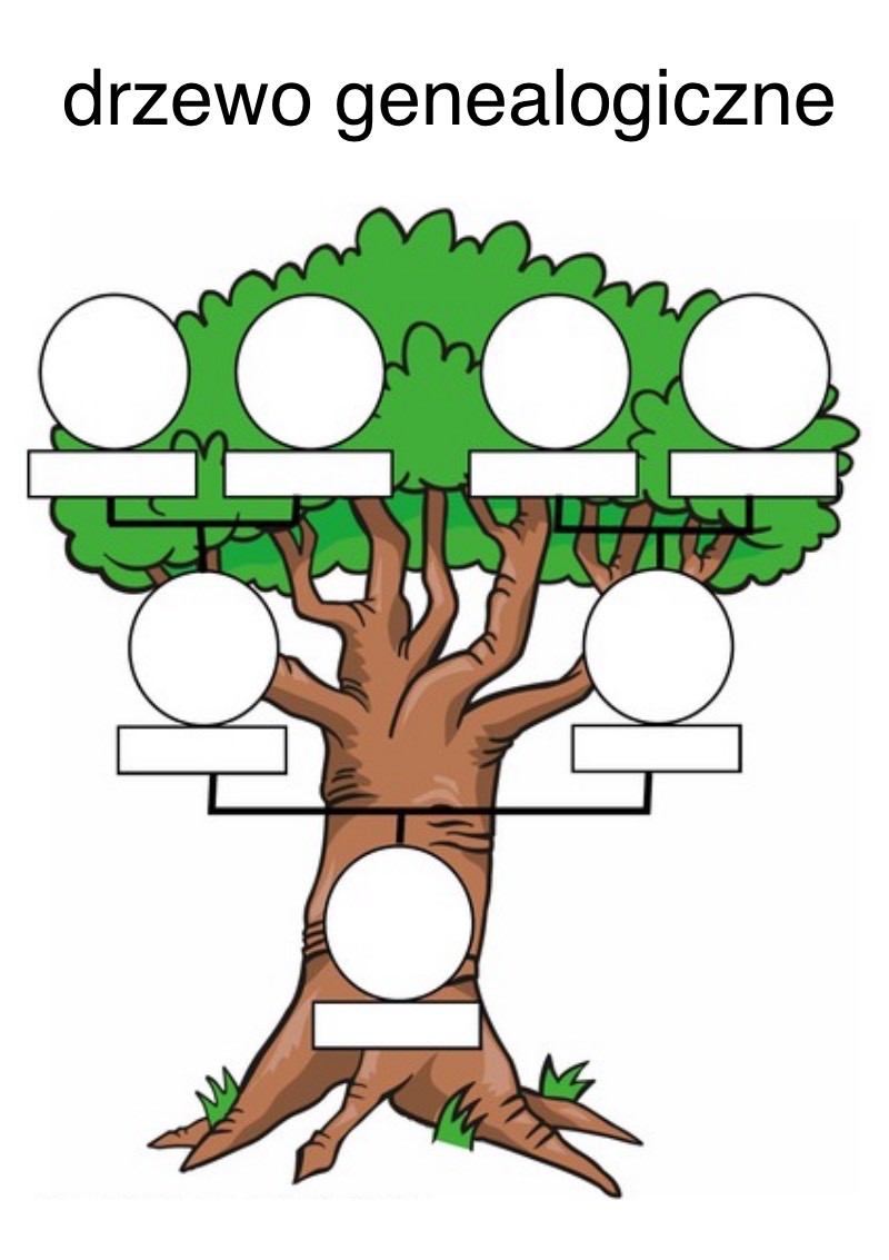 drzewo genealogiczne online