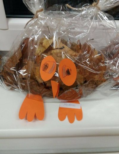 Praca plastyczna: Sowa z worka 1