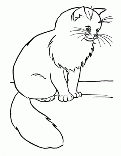 Praca plastyczna: Koty z kształtów 5