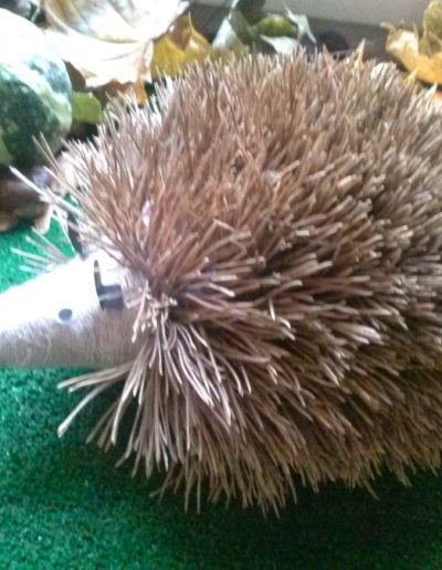 Praca plastyczna: Jeże z balonów 1