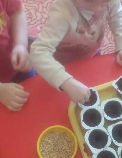 Praca plastyczna: Sianie owsa 1