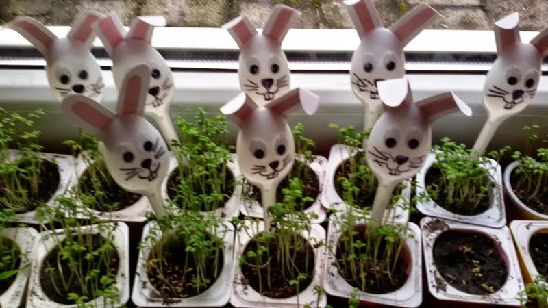 Praca plastyczna: Sianie owsa