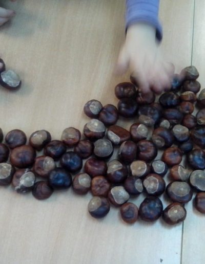 Praca plastyczna: Zabawy z kasztanami 2