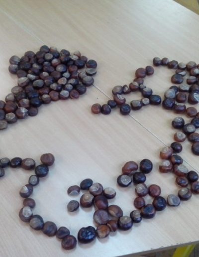 Praca plastyczna: Zabawy z kasztanami 3