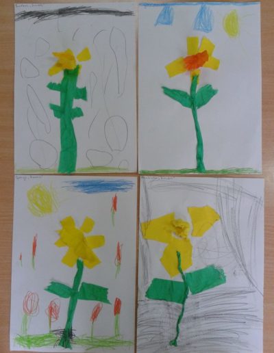 Praca plastyczna: Żonkile z bibuły 2