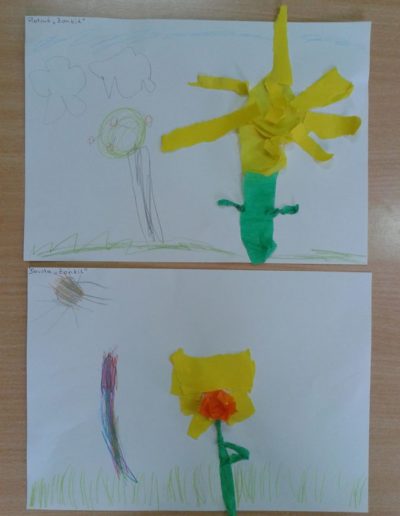 Praca plastyczna: Żonkile z bibuły 5