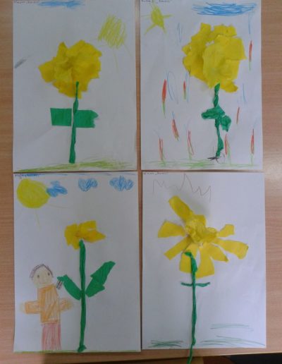 Praca plastyczna: Żonkile z bibuły 6