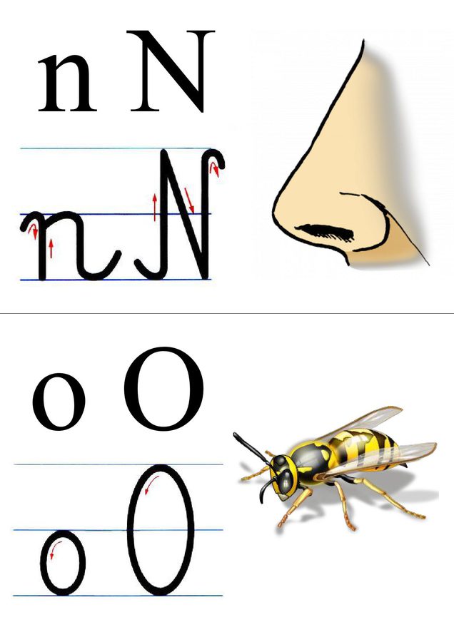 Alfabet: tabliczki z obrazkami Ania Jóźwina Nauka pisania Pomoce dydaktyczne 
