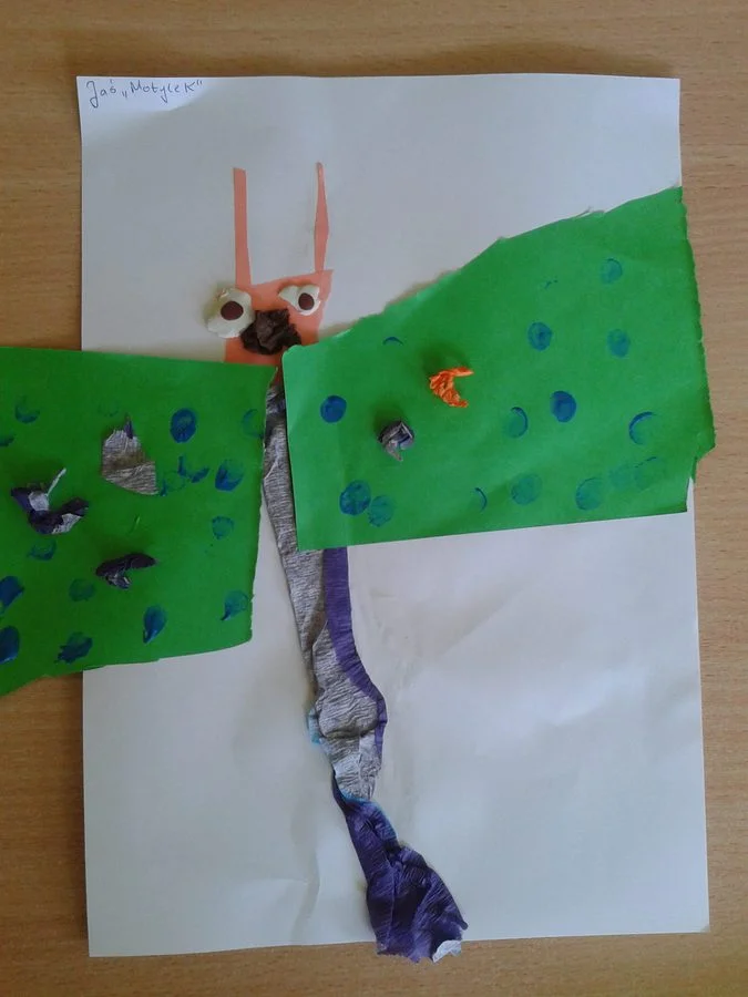 Praca plastyczna: Motylki – wycinanka