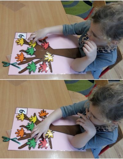 Edukacja matematyczna – wersja III – DRZEWO 20