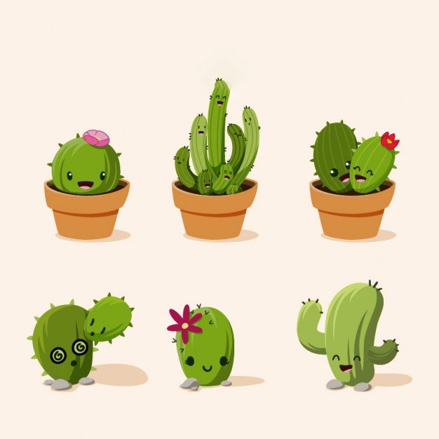 Walentynkowy kaktus (Wierszyk)