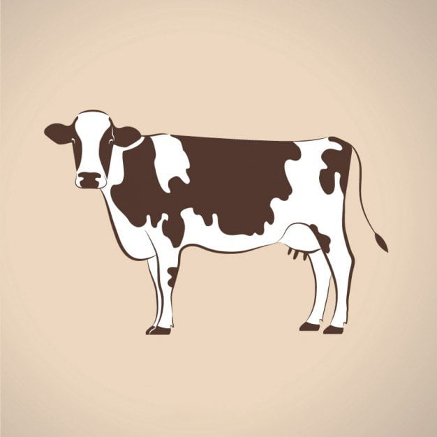 Krowa (Wierszyk)