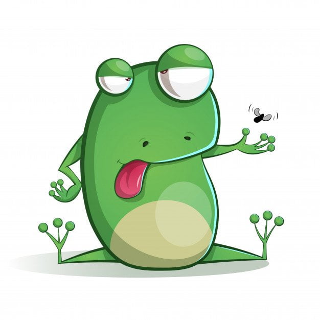 Zagadki na łące – żaba (Wierszyk)