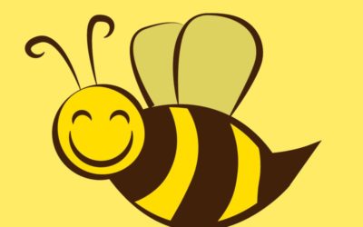 Zagadki na łące – Pszczółka (Wierszyk)