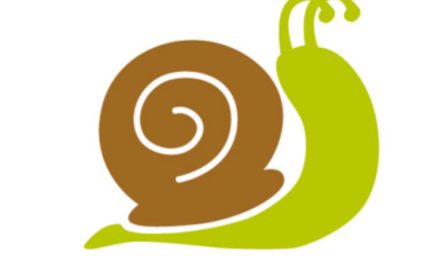 Zagadki na łące – ślimak (Wierszyk)