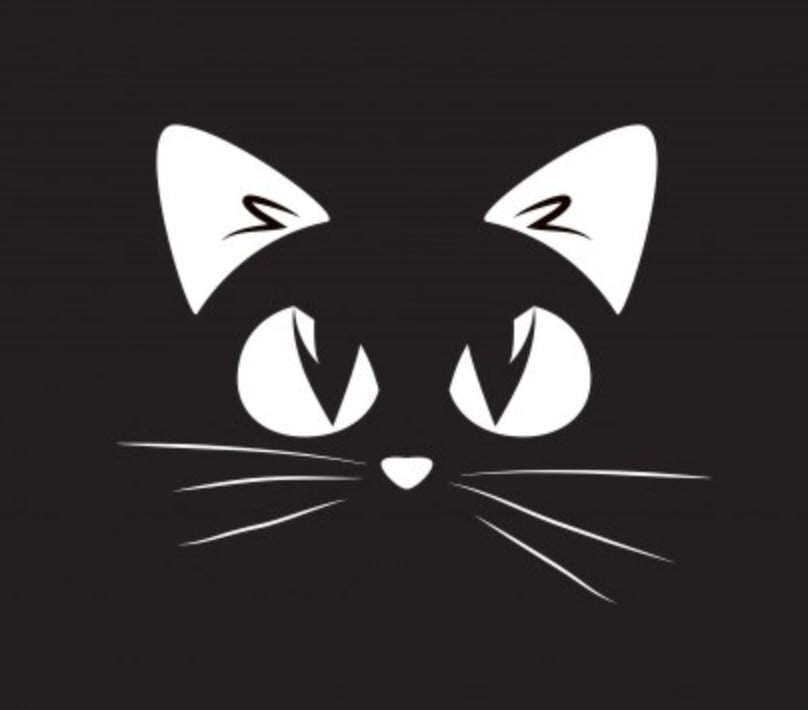 Scenariusz przedstawienia na Dzień Kota – 2018