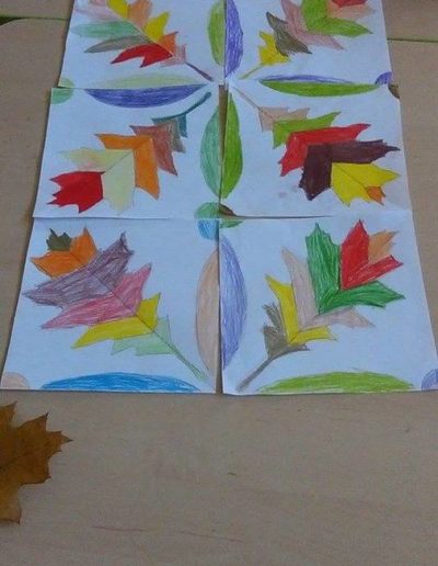 Praca plastyczna: Cienie z liści 1