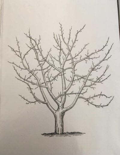 Praca plastyczna: Jesienne drzewo 8