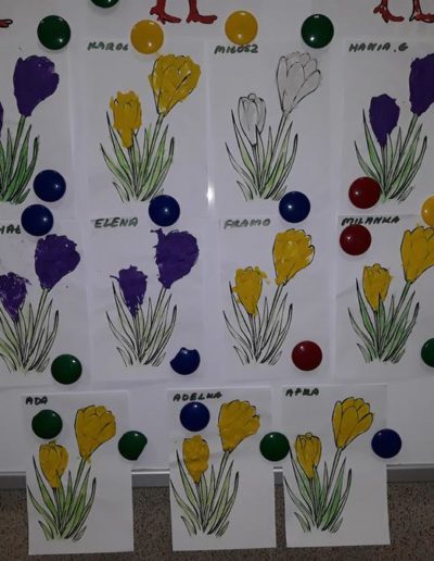 Praca plastyczna: Krokusy - ćwiczenie motoryki małej 1