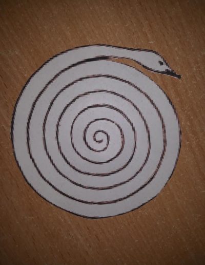 Praca plastyczna: Kolorowe węże - poznajemy zwierzęta 1