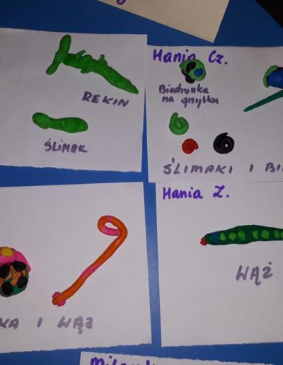 Praca plastyczna: Zwierzęta z plasteliny (ćwiczenie motoryki małej) 1