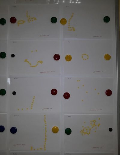 Praca plastyczna: Gwiazdozbiory 16