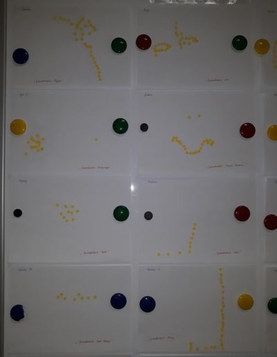 Praca plastyczna: Gwiazdozbiory 17