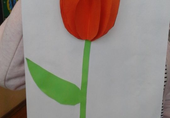 Przestrzenny tulipan