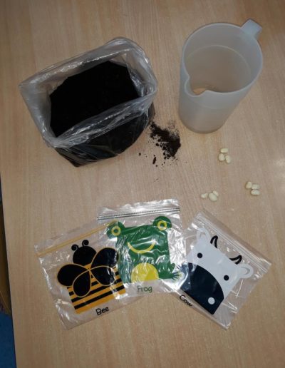 Praca grupowa - Zasadziliśmy fasolę 25