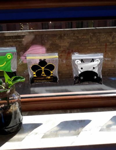 Praca grupowa - Zasadziliśmy fasolę 28