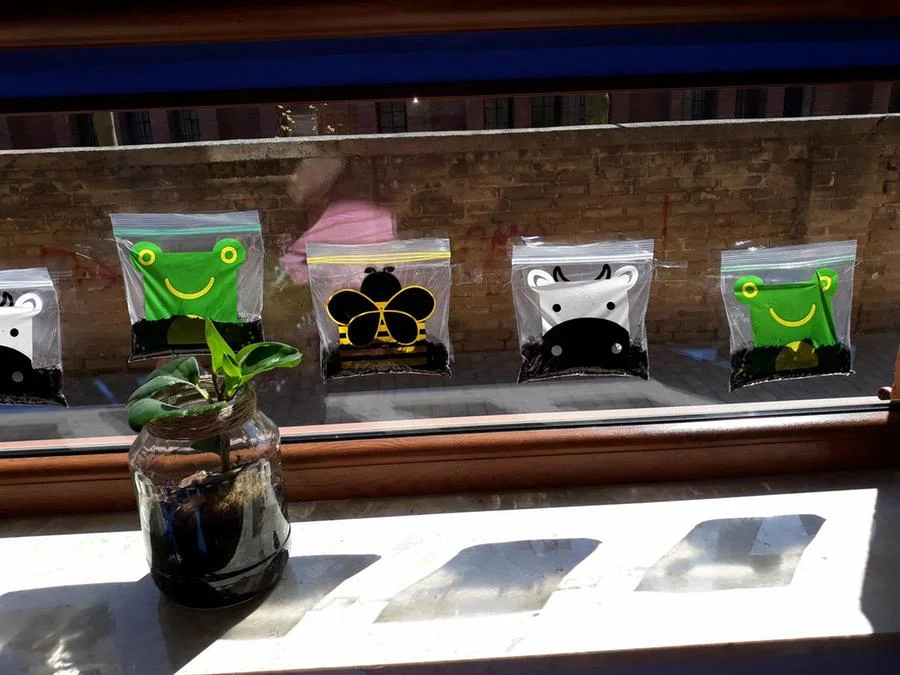 Praca grupowa – Zasadziliśmy fasolę