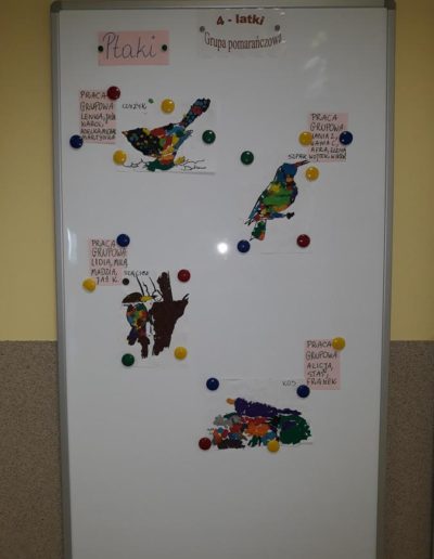 Rozpoznawanie ptaków oraz dźwięków jakie wydają 1