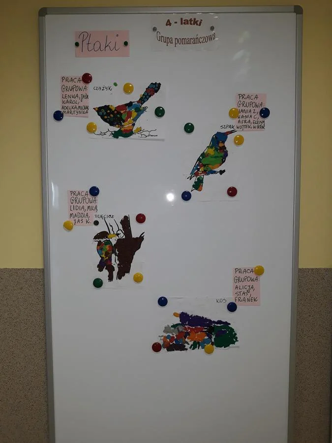 Rozpoznawanie ptaków oraz dźwięków jakie wydają