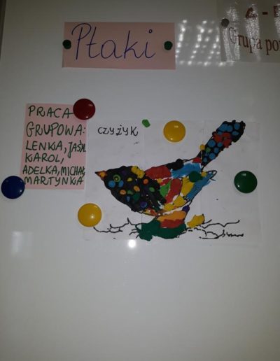 Rozpoznawanie ptaków oraz dźwięków jakie wydają 2